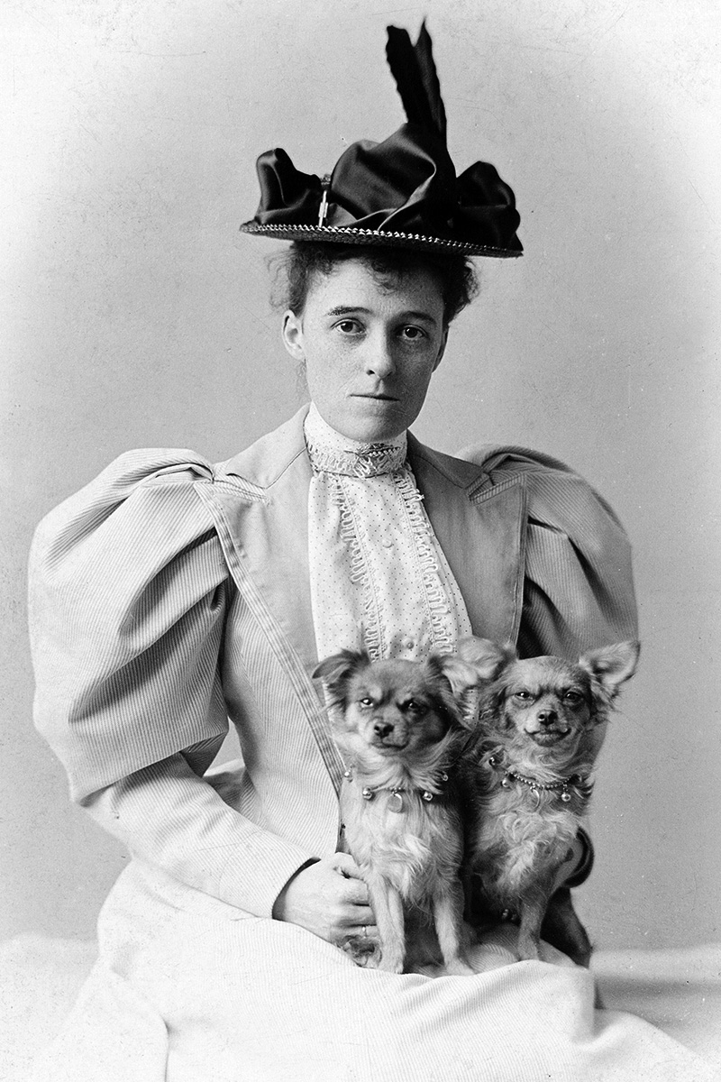 Picture of Edith Wharton. This media file is in the public domain in the United States. This applies to U.S. works where the copyright has expired, often because its first publication occurred prior to January 1, 1927, and if not then due to lack of notice or renewal. 